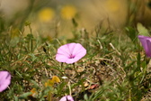 Enlarge photo 60