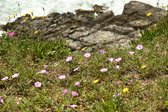 Enlarge photo 61