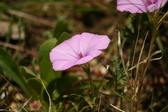 Enlarge photo 62
