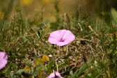 Enlarge photo 63