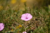 Enlarge photo 64