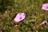 Enlarge photo 65