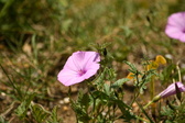 Enlarge photo 66