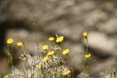 Enlarge photo 67
