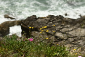 Enlarge photo 71