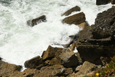 Enlarge photo 77