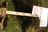 Enlarge photo 80