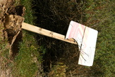 Enlarge photo 81