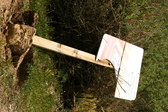 Enlarge photo 82