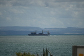 Enlarge photo 88