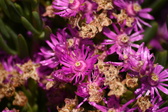 Enlarge photo 91