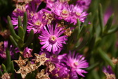 Enlarge photo 92