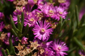 Enlarge photo 94