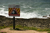 Enlarge photo 98