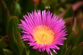 Enlarge photo 103