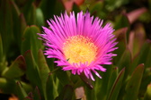 Enlarge photo 105