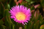 Enlarge photo 106