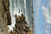 Enlarge photo 113