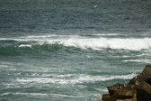 Enlarge photo 118