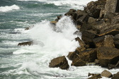 Enlarge photo 119