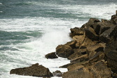 Enlarge photo 121
