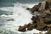 Enlarge photo 124