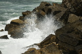 Enlarge photo 128