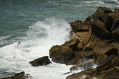 Enlarge photo 130