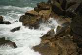 Enlarge photo 131