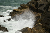 Enlarge photo 132