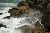 Enlarge photo 133