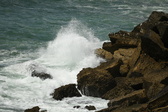 Enlarge photo 134