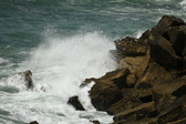 Enlarge photo 135