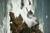 Enlarge photo 137