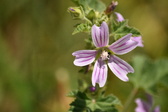 Enlarge photo 157