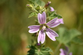 Enlarge photo 159