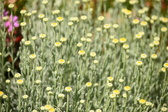 Enlarge photo 165