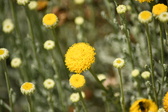 Enlarge photo 166