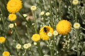 Enlarge photo 167