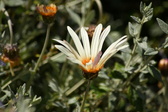 Enlarge photo 179