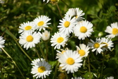 Enlarge photo 183