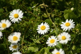 Enlarge photo 185