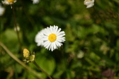 Enlarge photo 190