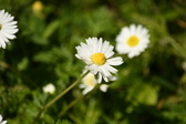 Enlarge photo 193