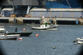 Enlarge photo 35