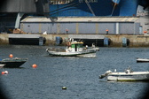 Enlarge photo 36