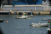 Enlarge photo 37