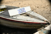 Enlarge photo 41