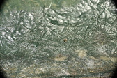 Enlarge photo 44