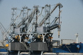 Enlarge photo 59